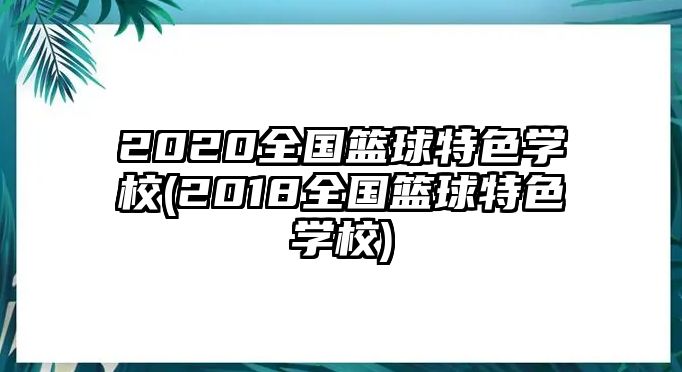 2020全國(guó)籃球特色學(xué)校(2018全國(guó)籃球特色學(xué)校)