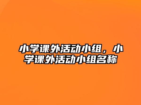 小學(xué)課外活動小組，小學(xué)課外活動小組名稱