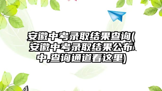 安徽中考錄取結(jié)果查詢(安徽中考錄取結(jié)果公布中,查詢通道看這里)