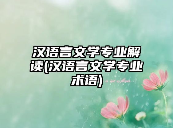 漢語言文學(xué)專業(yè)解讀(漢語言文學(xué)專業(yè)術(shù)語)