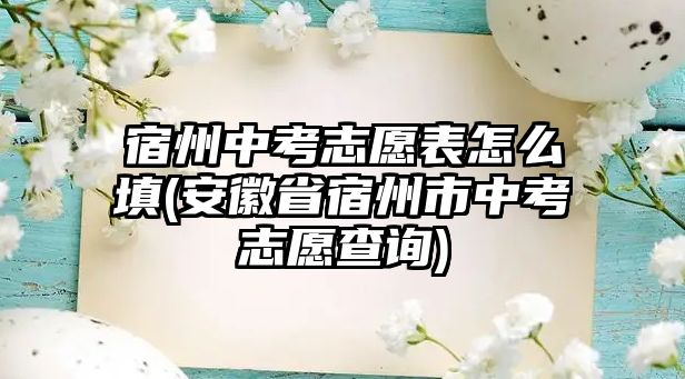 宿州中考志愿表怎么填(安徽省宿州市中考志愿查詢(xún))