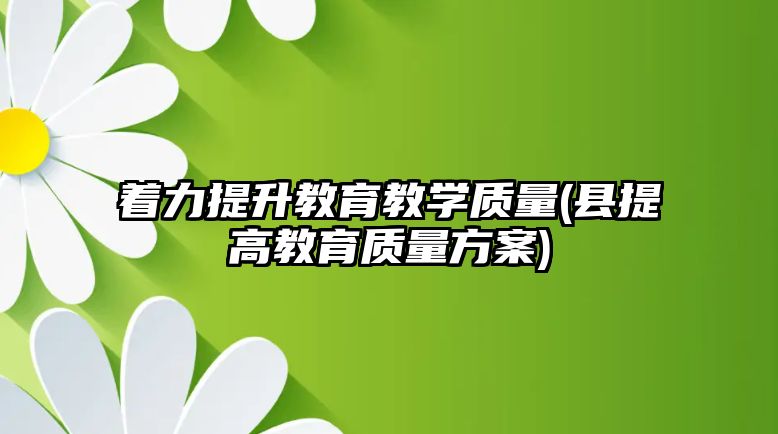 著力提升教育教學(xué)質(zhì)量(縣提高教育質(zhì)量方案)