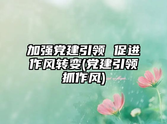 加強(qiáng)黨建引領(lǐng) 促進(jìn)作風(fēng)轉(zhuǎn)變(黨建引領(lǐng)抓作風(fēng))