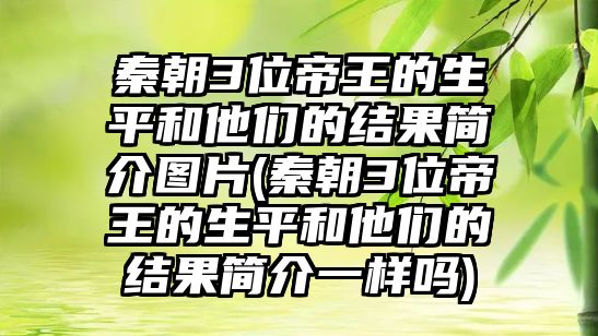 秦朝3位帝王的生平和他們的結果簡介圖片(秦朝3位帝王的生平和他們的結果簡介一樣嗎)