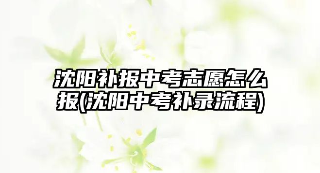 沈陽補報中考志愿怎么報(沈陽中考補錄流程)