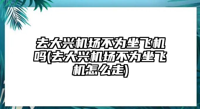 去大興機(jī)場(chǎng)不為坐飛機(jī)嗎(去大興機(jī)場(chǎng)不為坐飛機(jī)怎么走)