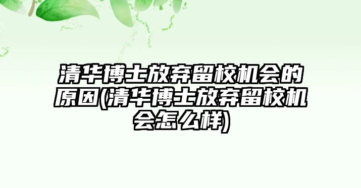 清華博士放棄留校機會的原因(清華博士放棄留校機會怎么樣)