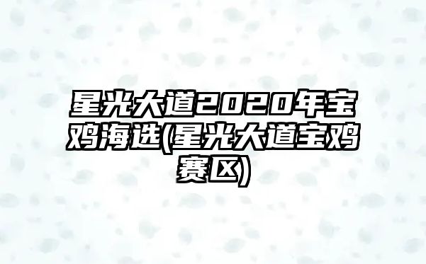 星光大道2020年寶雞海選(星光大道寶雞賽區(qū))