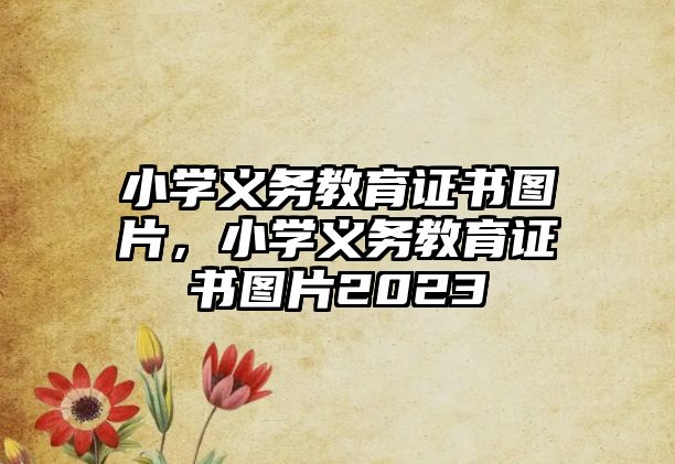 小學(xué)義務(wù)教育證書圖片，小學(xué)義務(wù)教育證書圖片2023