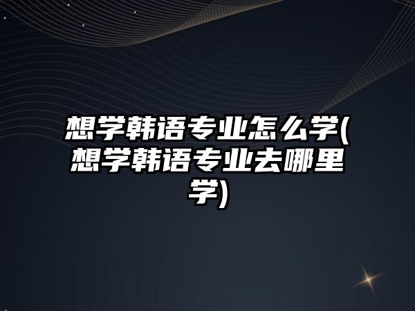 想學韓語專業(yè)怎么學(想學韓語專業(yè)去哪里學)