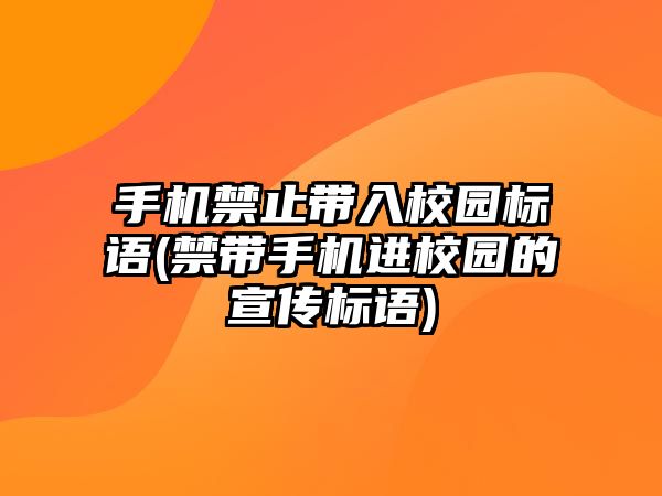 手機禁止帶入校園標語(禁帶手機進校園的宣傳標語)