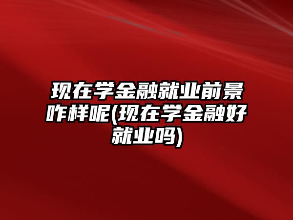 現(xiàn)在學(xué)金融就業(yè)前景咋樣呢(現(xiàn)在學(xué)金融好就業(yè)嗎)