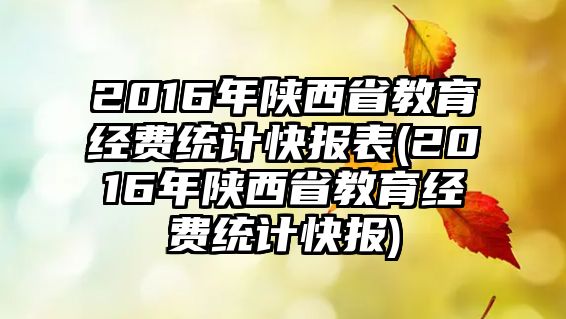 2016年陜西省教育經(jīng)費(fèi)統(tǒng)計(jì)快報(bào)表(2016年陜西省教育經(jīng)費(fèi)統(tǒng)計(jì)快報(bào))