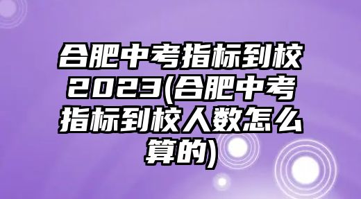 合肥中考指標(biāo)到校2023(合肥中考指標(biāo)到校人數(shù)怎么算的)