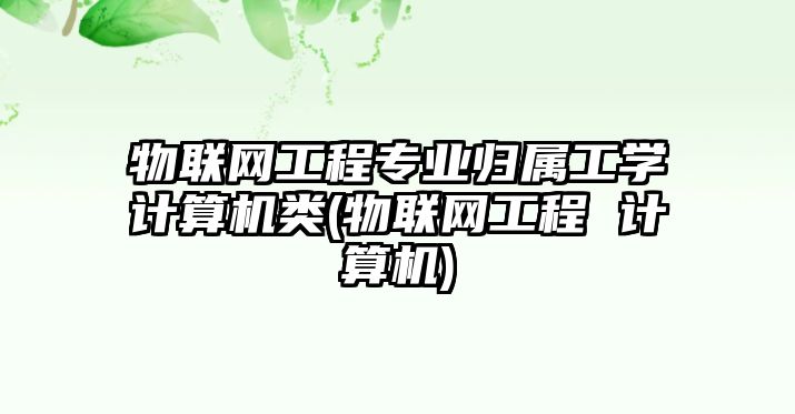 物聯(lián)網(wǎng)工程專業(yè)歸屬工學計算機類(物聯(lián)網(wǎng)工程 計算機)