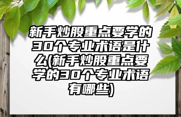 新手炒股重點(diǎn)要學(xué)的30個(gè)專業(yè)術(shù)語是什么(新手炒股重點(diǎn)要學(xué)的30個(gè)專業(yè)術(shù)語有哪些)