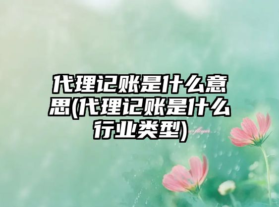 代理記賬是什么意思(代理記賬是什么行業(yè)類型)