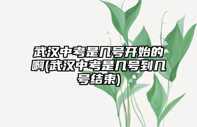 武漢中考是幾號開始的啊(武漢中考是幾號到幾號結(jié)束)