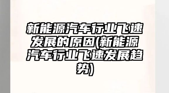 新能源汽車行業(yè)飛速發(fā)展的原因(新能源汽車行業(yè)飛速發(fā)展趨勢(shì))