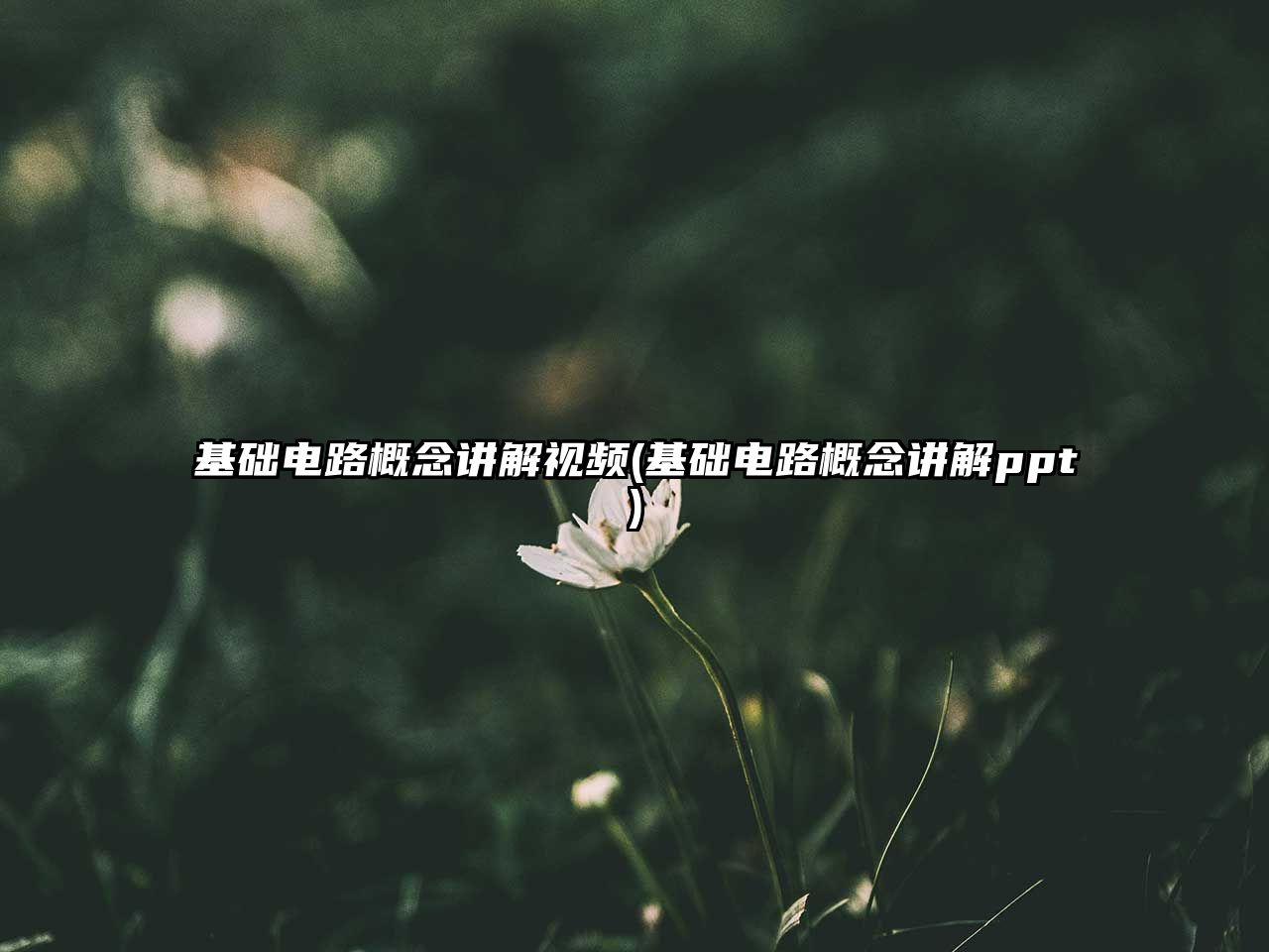 基礎(chǔ)電路概念講解視頻(基礎(chǔ)電路概念講解ppt)