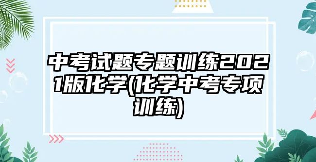 中考試題專題訓練2021版化學(化學中考專項訓練)