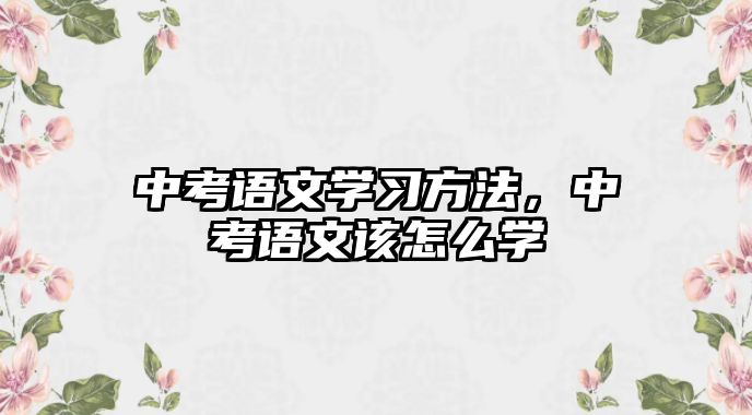 中考語文學(xué)習(xí)方法，中考語文該怎么學(xué)